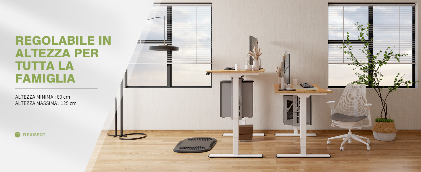 FLEXISPOT EC4 Scrivania Regolabile in Altezza con 2 Potenti Motori, 3