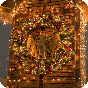 christmas decorative lights