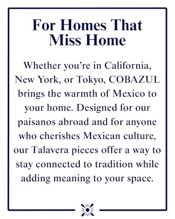 talavera mexican pottery black talavera mexican pottery planters talavera mug talavera party decor