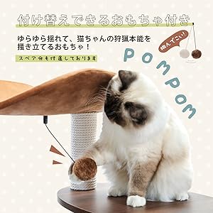 ポンポン