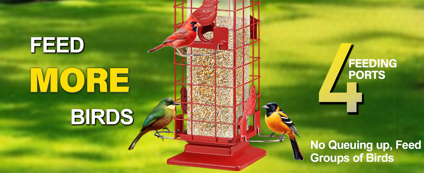 hanging bird feeder