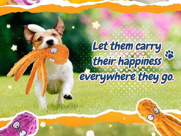 Dog Toys