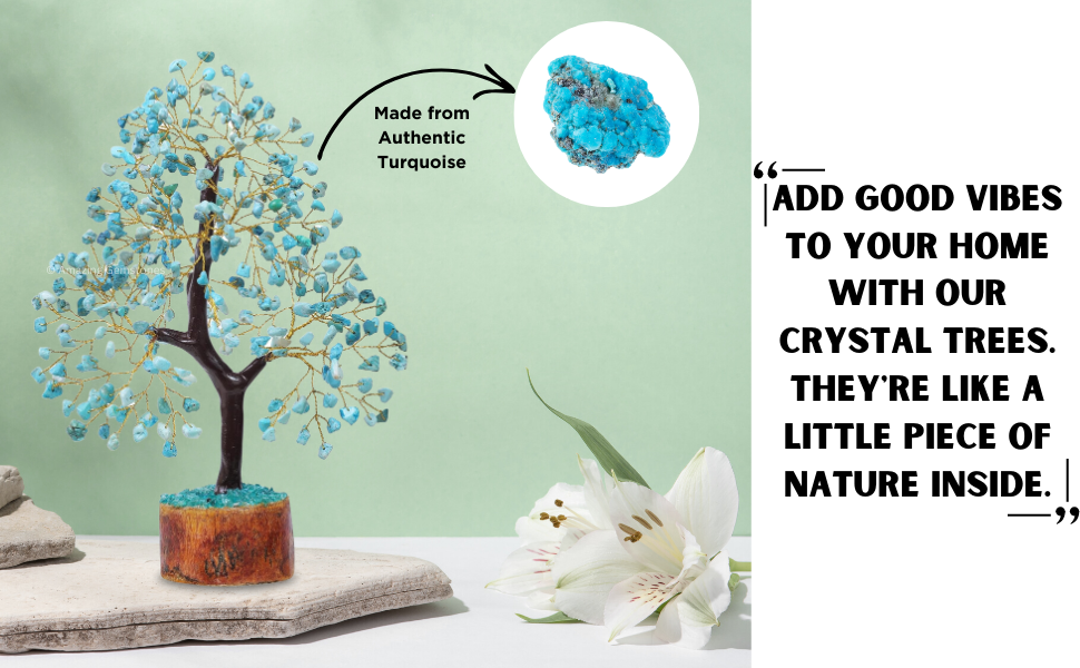 Bonsai Trees for Positive Energy, Good Luck gifts for Women & Men's