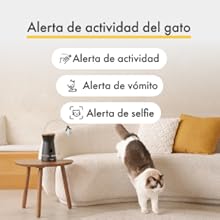 Atividade Cat FaaS_Cat