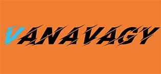 VANAVAGY wallet case