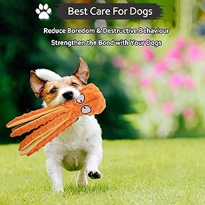 Whiskerspot Octopus Toy