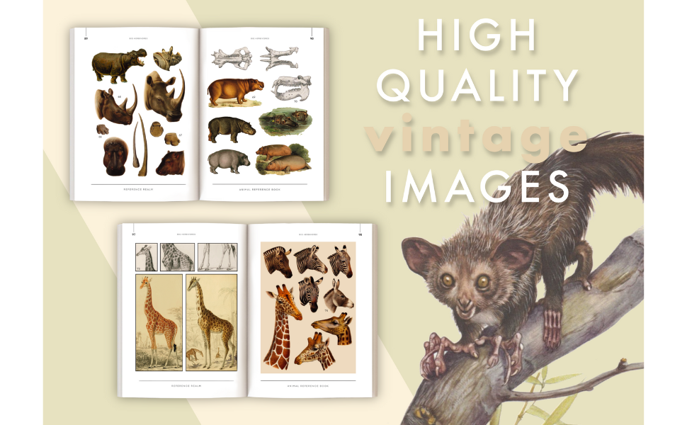 Animal Reference Book: Mammalian Species, Restored Vintage