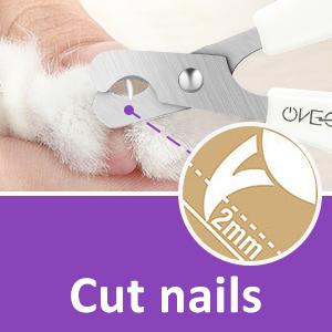 Cut nails
