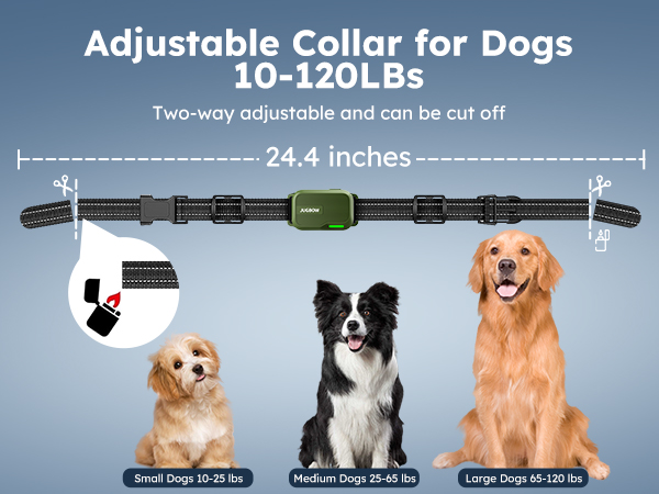 Amazon.com: Jugbow Dog Shock Collar 2 Dogs (10-120Lbs