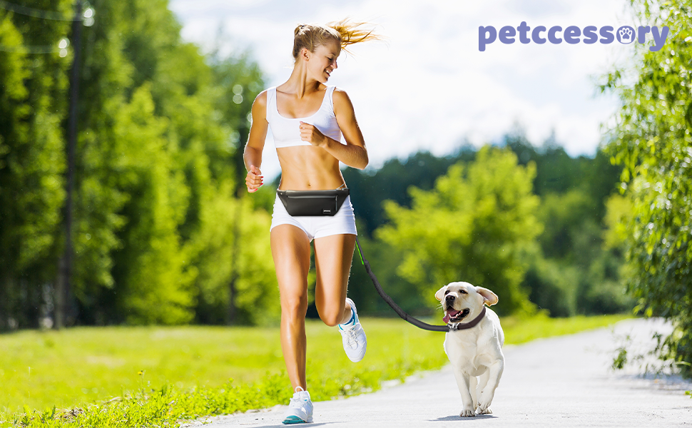 Petccessory Hands Free Dog Lead Premium Quality Adjustable Waist Belt with Reflective Bungee