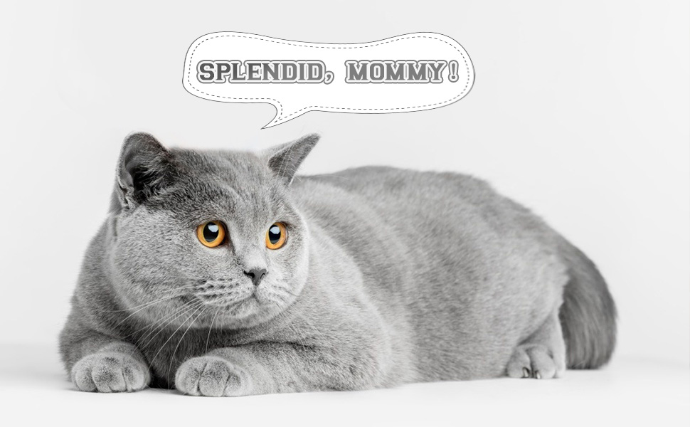 POPETPOP 8PCS Cat Litter Box Replacement Filter Carbon Cat Litter Odor