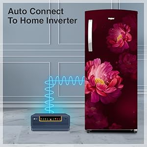 Single Door Refrigerator, Single Door Fridge, Sigal Door, 207 L