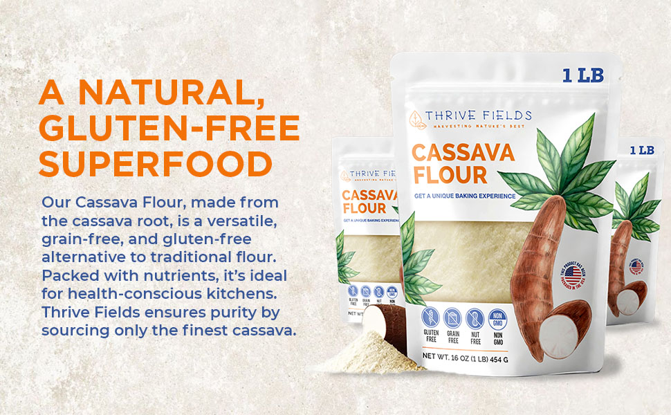 トリートメント flour Amazon.com : THRIVE FIELDS Cassava Flour - All-Purpose Yuca