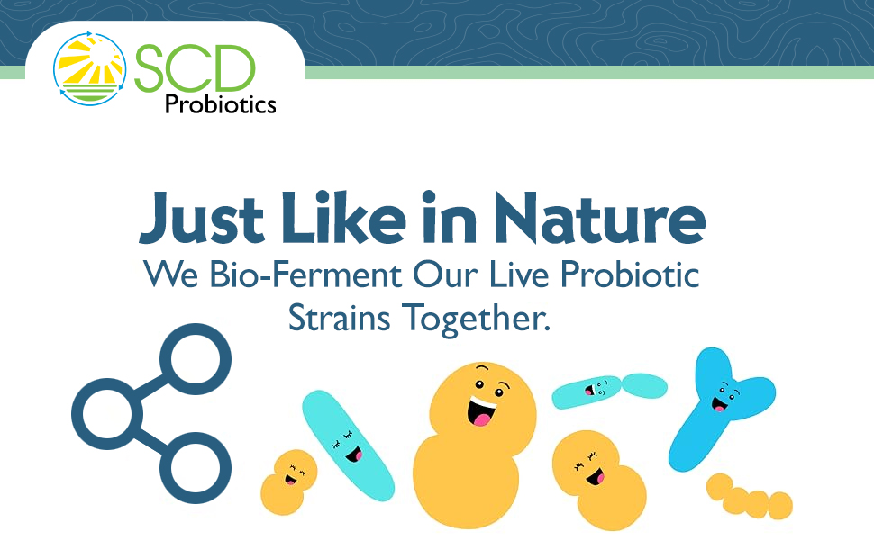 fermented probiotic live strain liquid supplement for gut health microbiome seed