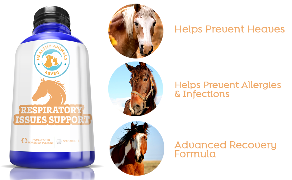 Healthy Animals 4Ever AllNatural Horse Respiratory Issues