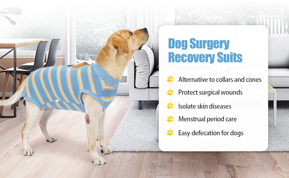 HEYWEAN dog surgery recovery suit dog bodysuit after surgery for Male
