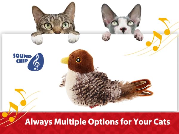 (初心者向けセット)Chatting Bird CWC-FT Amazon.com: GiGwi Interactive Cat Toys Squeaky, Stimulated