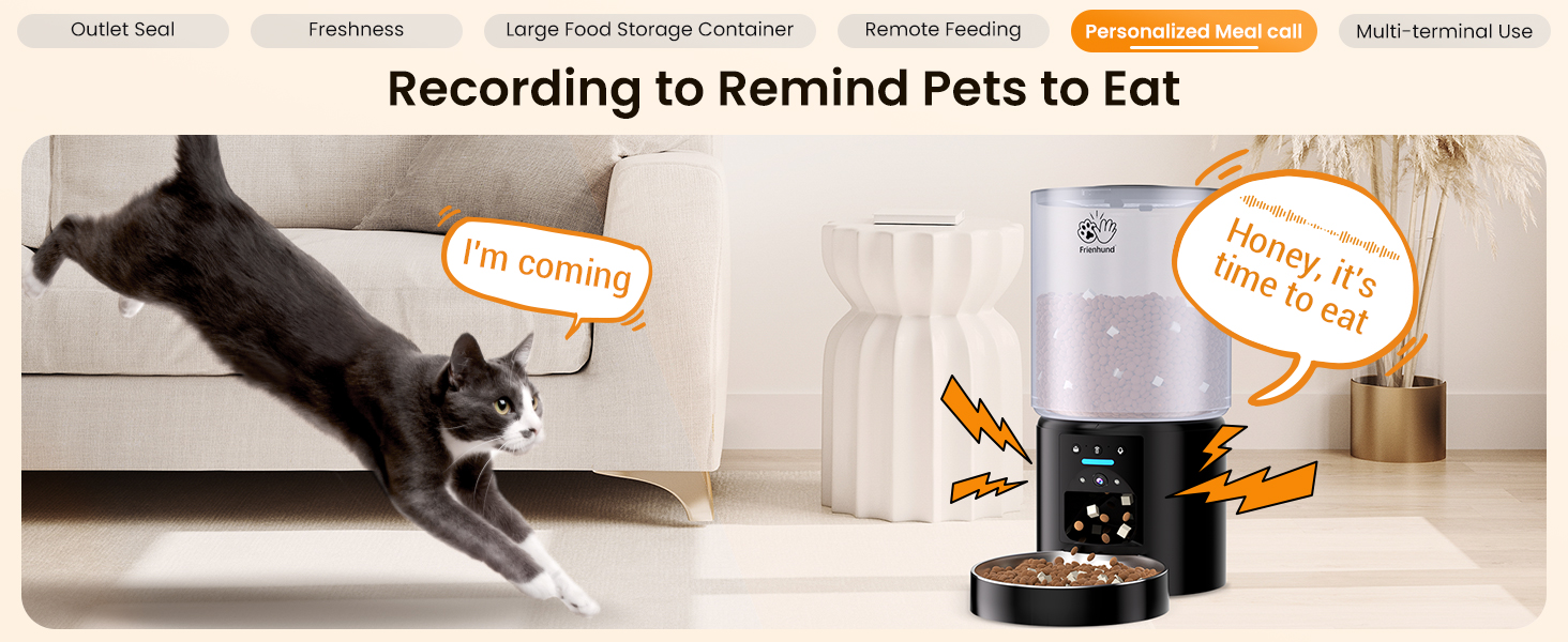 automatic cat feeder