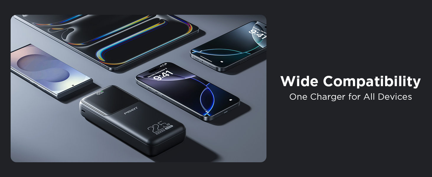 PISEN Power Bank