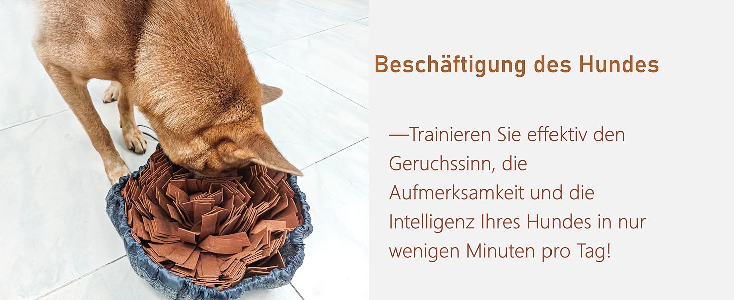 Intelligence toy for dogs