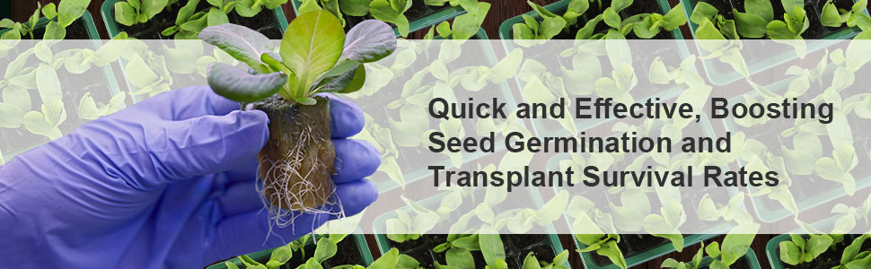 plant germination trays