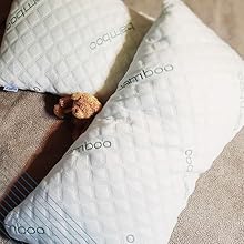 bamoo pillow