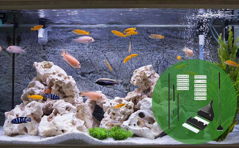 Aquarium Fischtank Aquarium Fischtank Aquarium Fischtank Aquarium Fischtank Aquarium Fischtank Aquarium Fischtank Aquarium Fischtank Aquarium Fischtank Aquarium Fischtank Aquarium Fischtank Aquarium Aquarium
