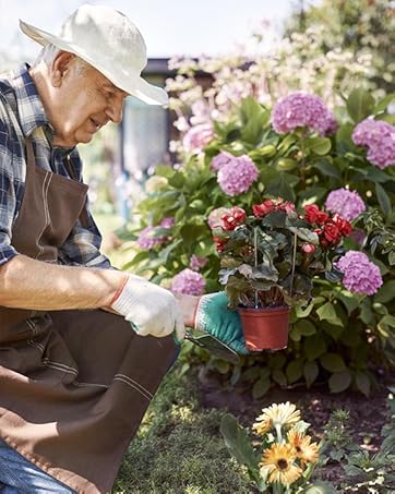 planter pots