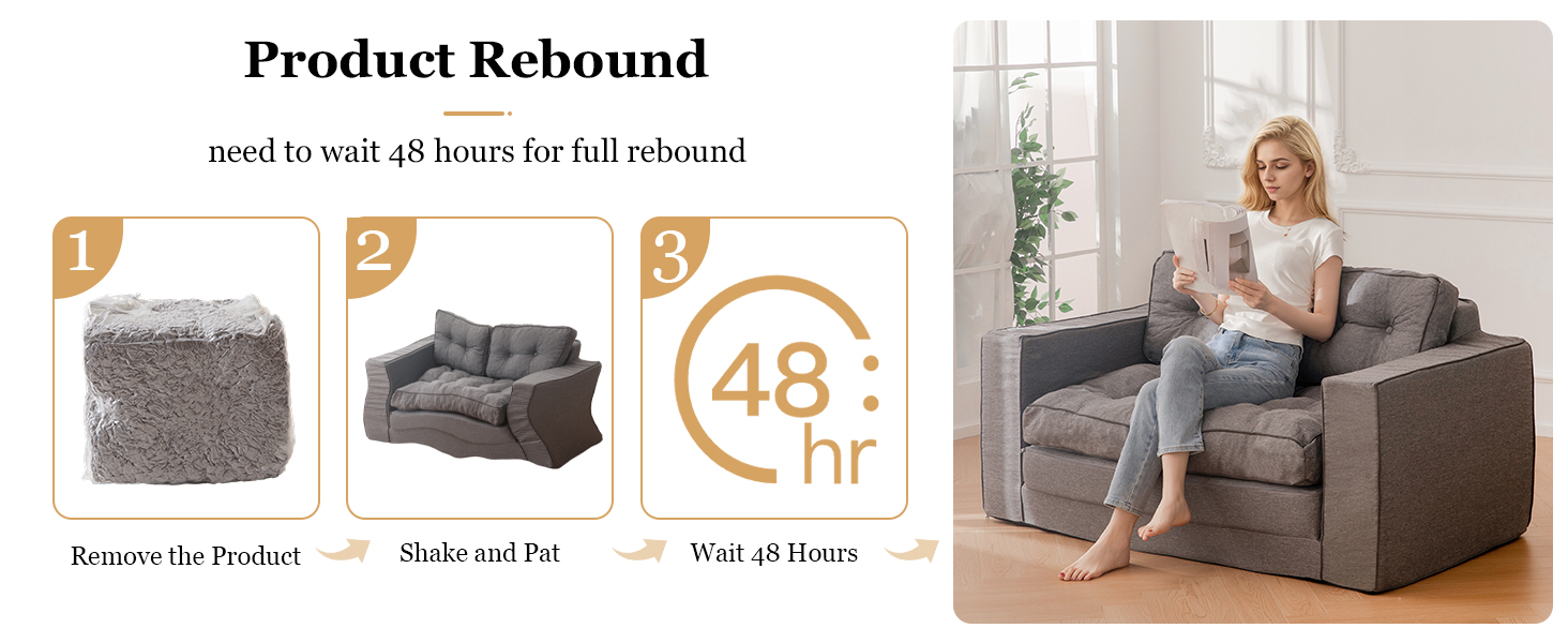 Loveseat Sleeper Sofa