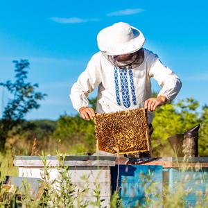 beekeeper
