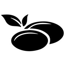 silhouette en noir et blanc d'un plant avec des feuilles