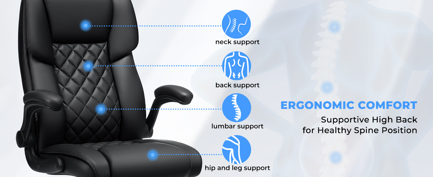 Ergonomic Executive Desk Chair