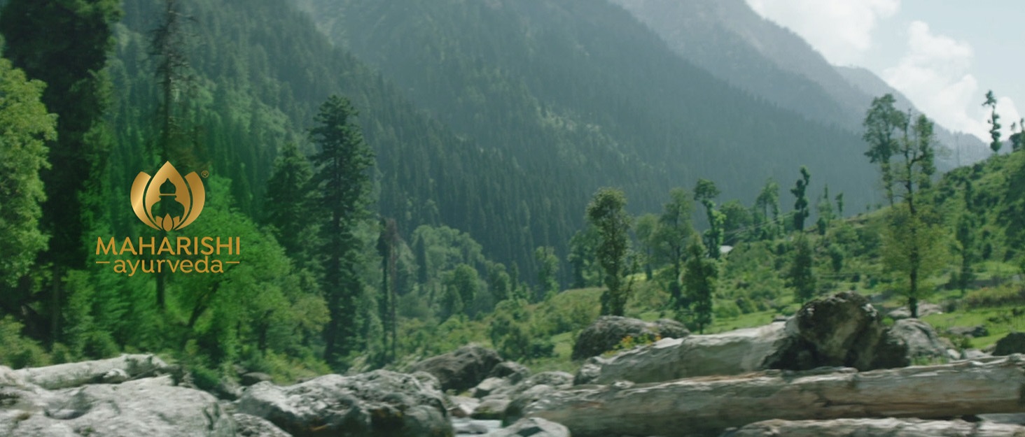 Maharishi Ayurveda Europe