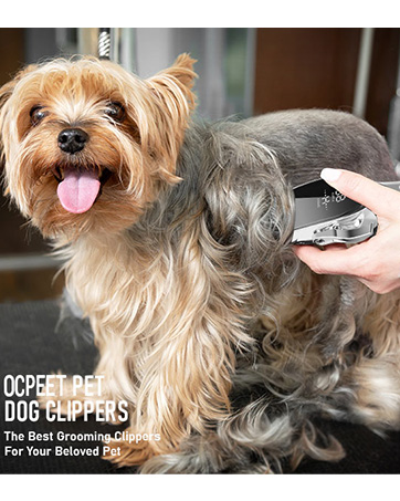 dog shears for grooming