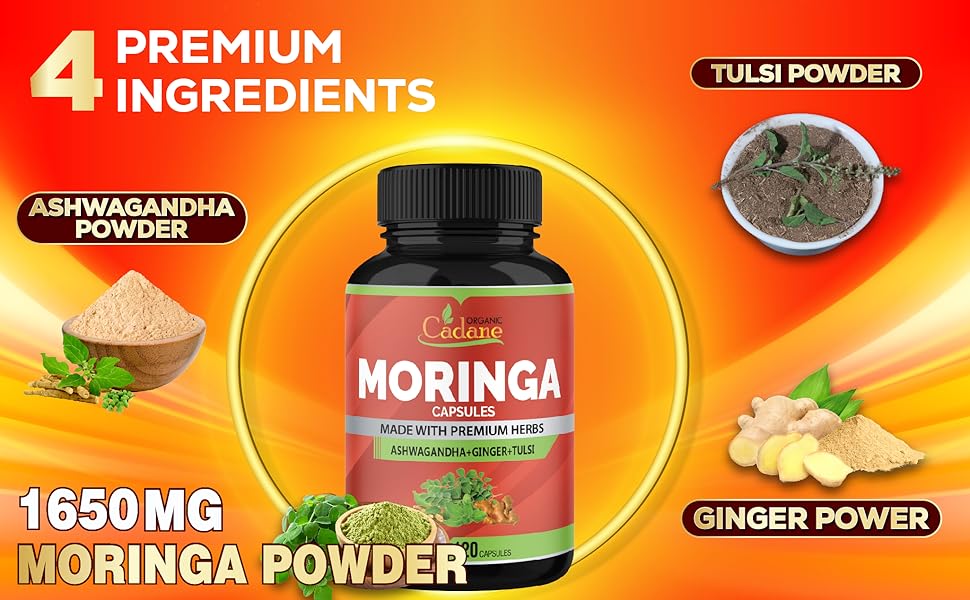 morinaga capsules moringa oleifera capsules moringa leaf capsules moringa leaf extract