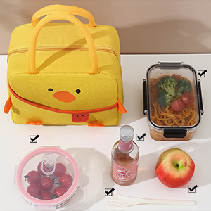 lunch bag women
