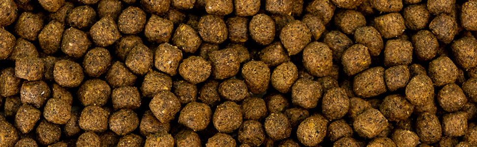 worldnet027 season koi food