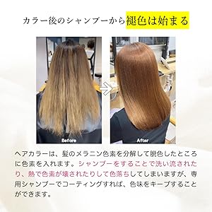 Amazon | Kyogoku カラーケアトリートメント 美容室専売品