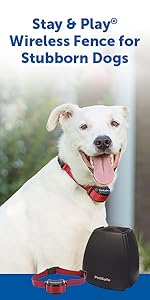 wireless, no dig, fencing, dog, pet, cat, travel, portable, petsafe, diy