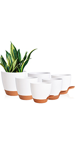 planters for indoor plants