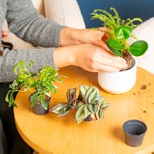 Small manufacture image 2