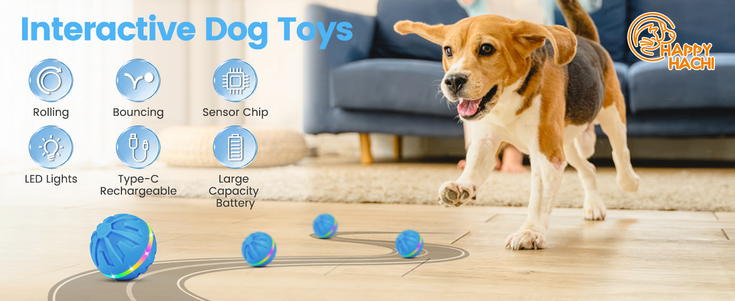 interactive dog toy