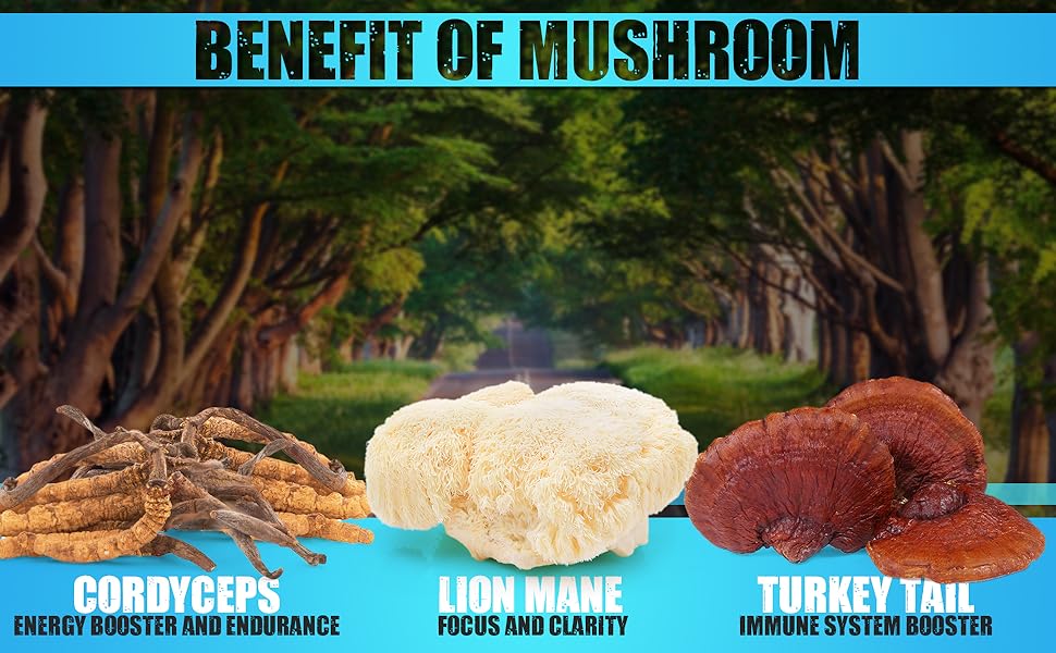 Mushroom Supplement, Lions mane, Cordyceps, Reishi, Turkey tail, chaga, oyster, mushroom, shiitake