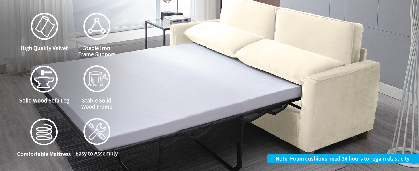 Mjkone 2in1 Pull Out Sofa Bed, Full Size Velvet Sleeper Sofa Bed with Folding