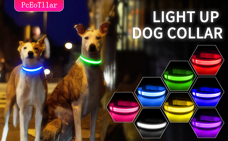 LED Dog Collar 100 Waterproof Light Up Safety Pet Collar