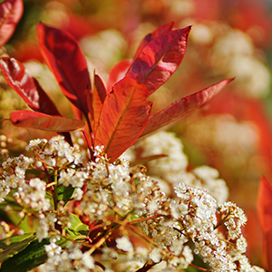 Small manufacture image 11