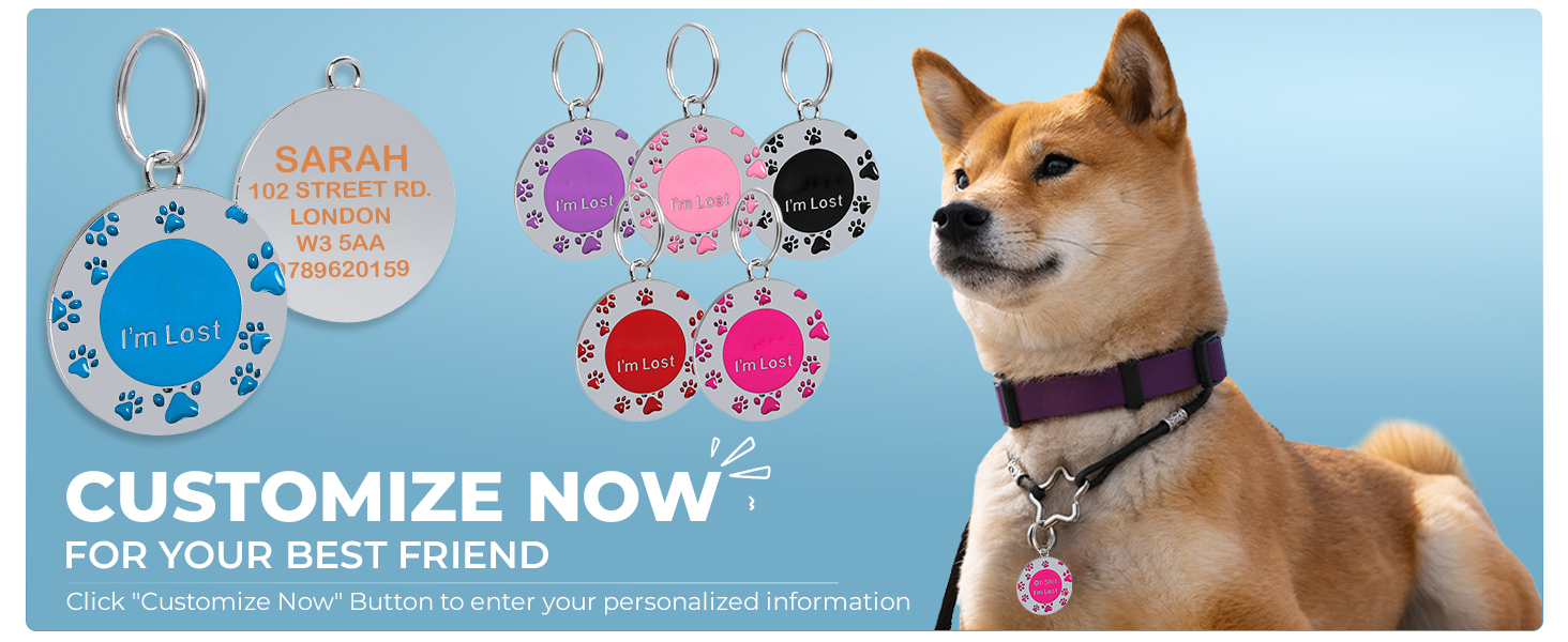dog tag ID pat collar identity plate Customized Pet ID Tag with Split Ring 