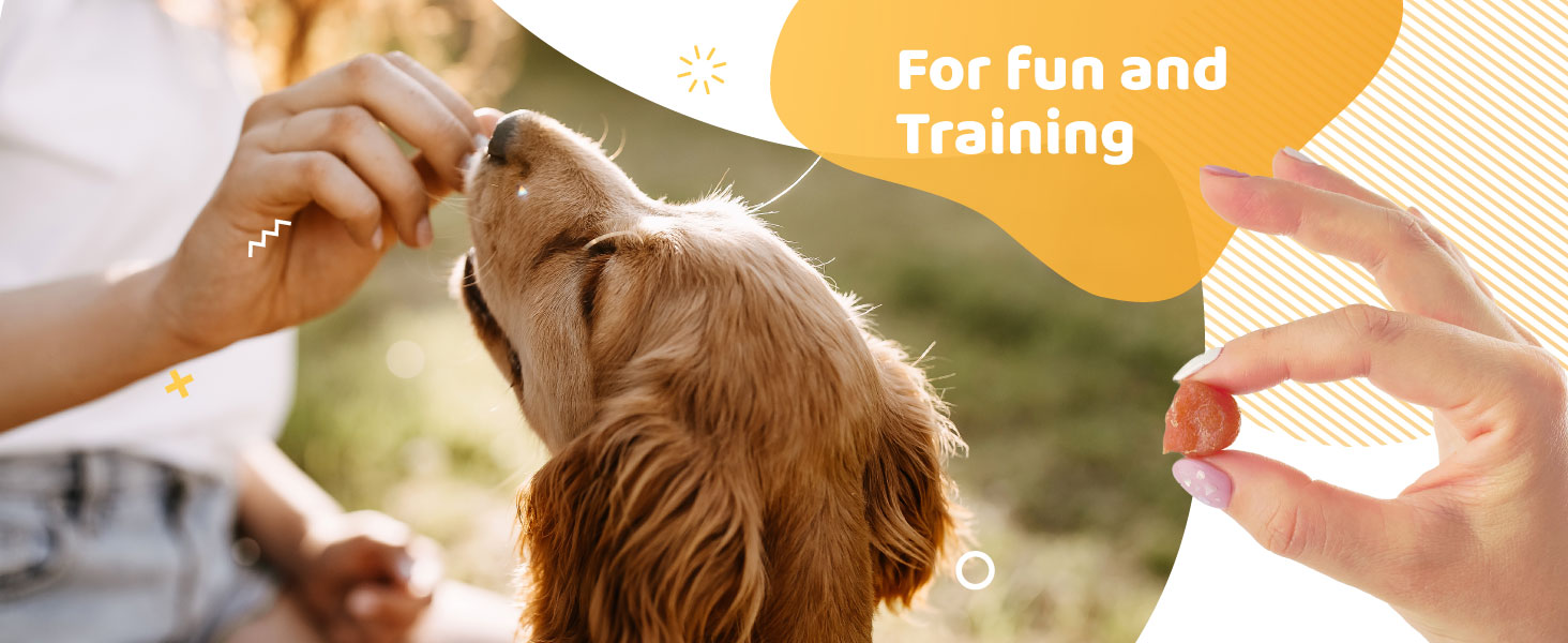 stocking stuffers for dogs dentleys dog chews rawhide free dog chews for small dogs best dog treats