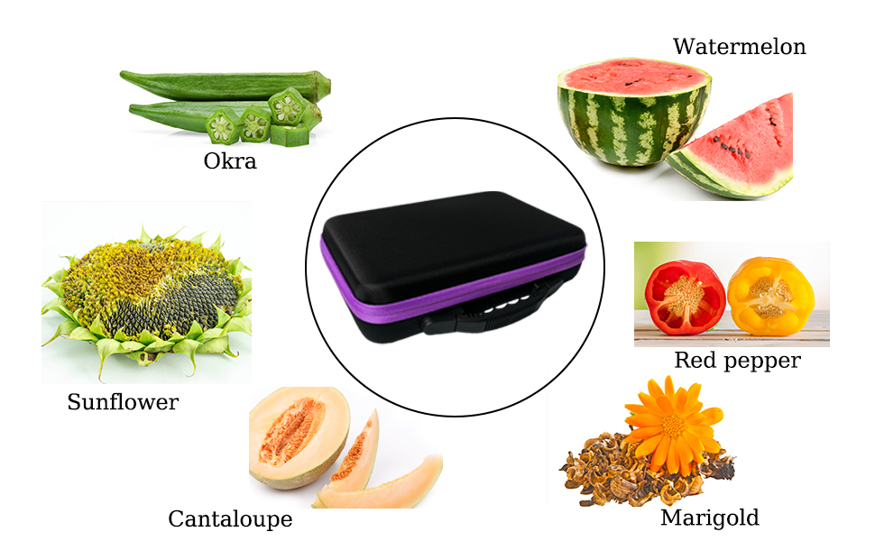 60 Slots Plant Seed Storage Containers, Seed Storage