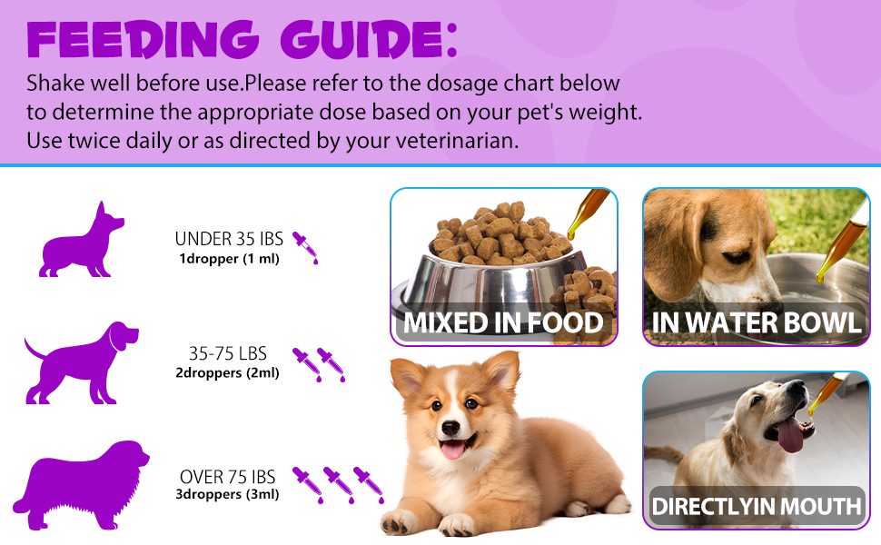 Liquid Multivitamin for Dog